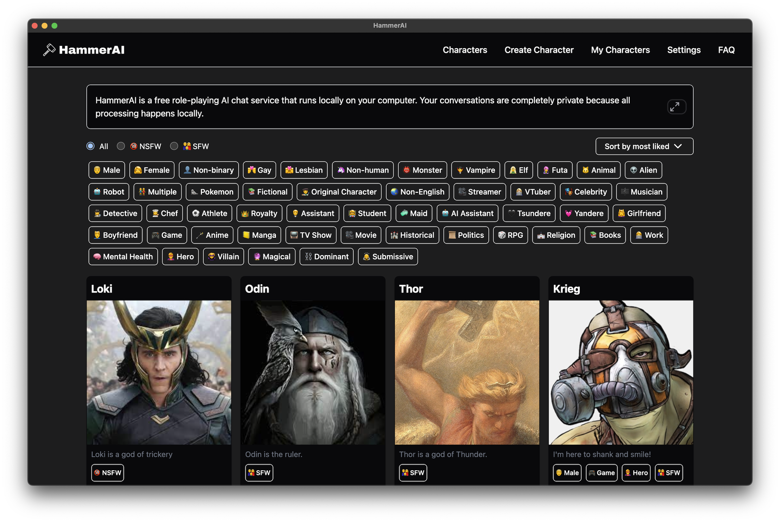 Hammer AI interface showing diverse character options and privacy-focused features